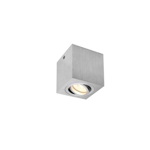 SLV TRILEDO Single, indoor plafondopbouwlamp, QPAR51, geb. alu, max 10W - Slv 1002004 1 h rgb - 20023307