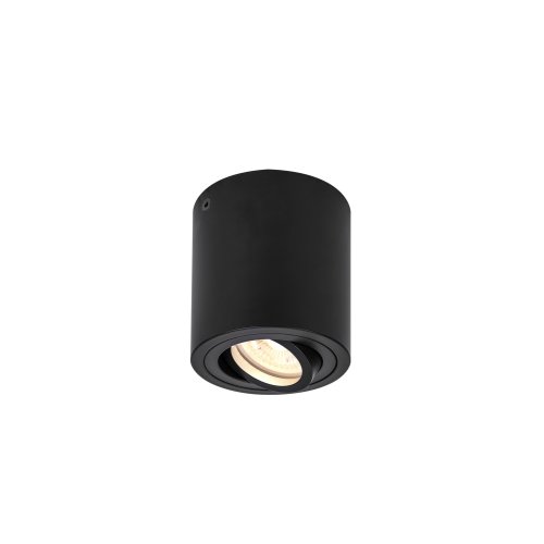 SLV TRILEDO CL, indoor plafondopbouwlamp, QPAR51, zwart, max 10W - Slv 1002010 1 h rgb - 20023311