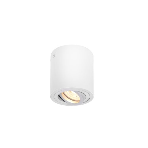 SLV TRILEDO CL, indoor plafondopbouwlamp, QPAR51, wit, max 10W - Slv 1002011 1 h rgb - 20023312