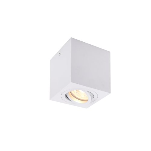 SLV TRILEDO Single, indoor plafondopbouwlamp, QPAR51, wit, max 10W - Slv 1002015 1 h rgb - 20023315