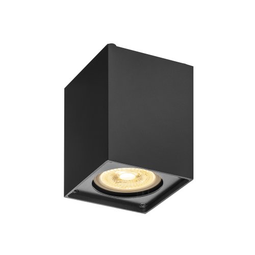 SLV ALTRA DICE CL, indoor wand- en plafondopbouwlamp, QPAR51, zwart - Slv 1002216 1 h rgb - 20023374