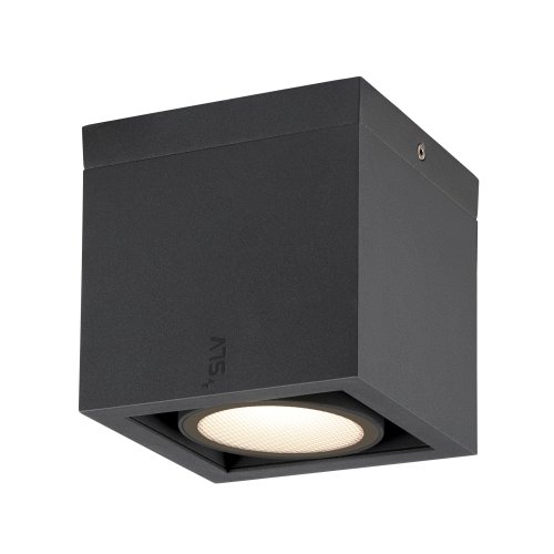 SLV ESKINA FRAME CL single, plafondopbouwarmatuur antraciet 15W 1100/1200l - Slv 1006316 1 h rgb - 20025513