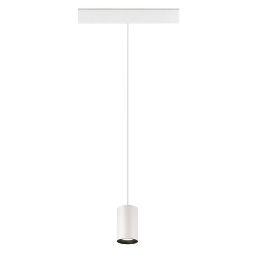 SLV NUMINOS&reg; XS, 48V pendelarmatuur, pendellengte 150 cm, 4000K, 20&deg;, DALI - Slv 1006804 2 rgb - 20025906