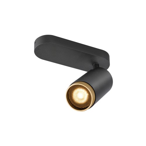 SLV GRIP! L, SPOT CL, single, QPAR51, plafondopbouwarmatuur, cilindrisch,  - Slv 1009093 1 h rgb - 20027489