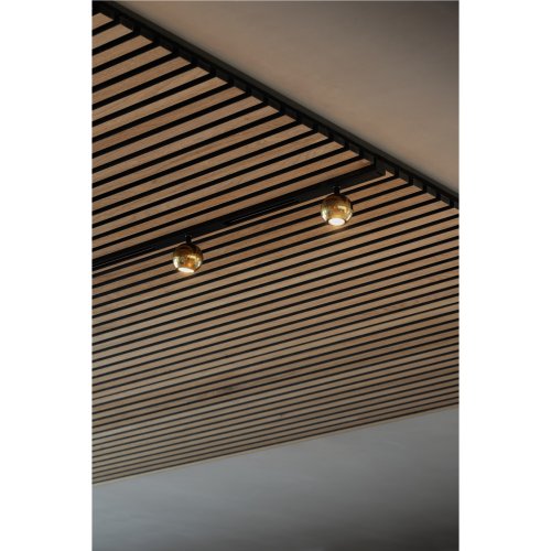 SLV DYSKO, 48V, spot, DALI, standard surface mounted track, 2700K, 5,6 W,  - Slv 1010330 a1 h rgb - 20028181
