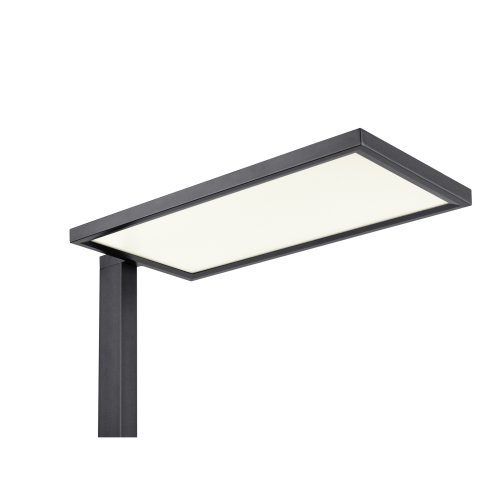 SLV WORKLIGHT EASY, FL 940, staande armatuur, 4000K, IP20, zwart - Slv 1010393 d1 rgb - 20028207