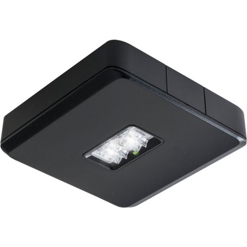ABB VanLien Decentraal 2 watt, zwart continu opbouw led armatuur,inclusief control - Vanlien evago dlo zwart 1395 - 20128505